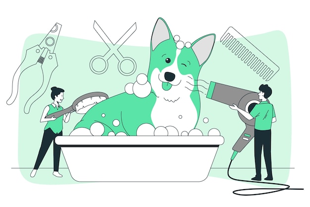 Pet transportation and pickup service